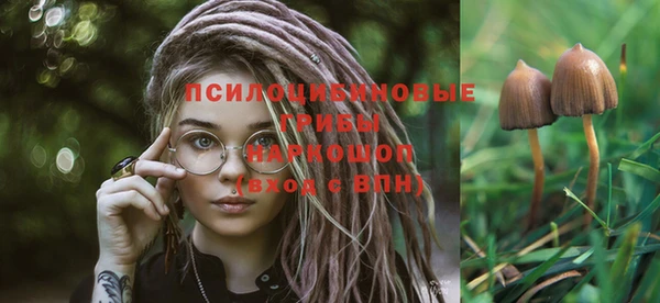 спайс Рыльск