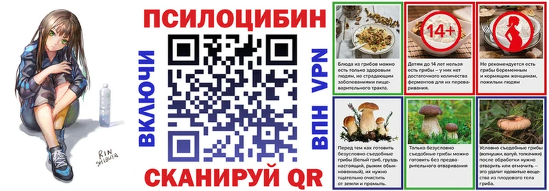 где найти   Малаховка  Галлюциногенные грибы Psilocybe 